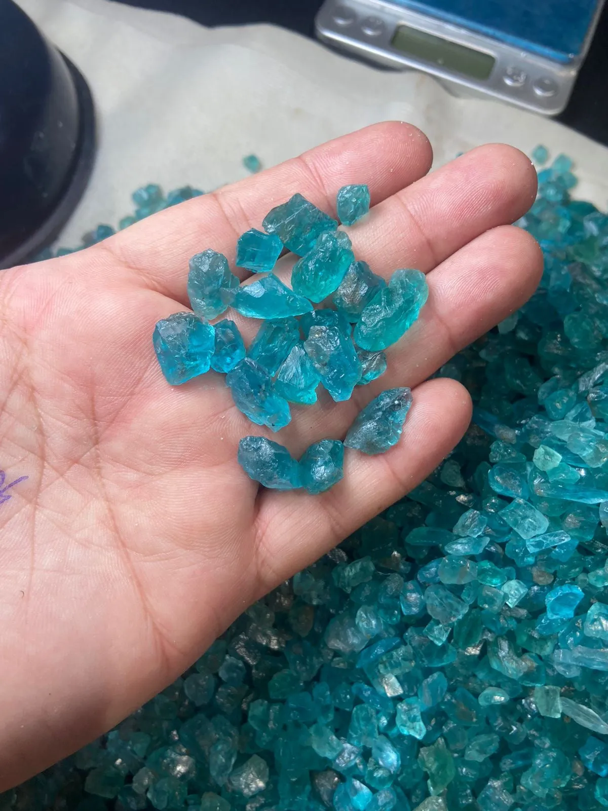 1 kilo gram Blue Apatite for Faceting / Lapidary