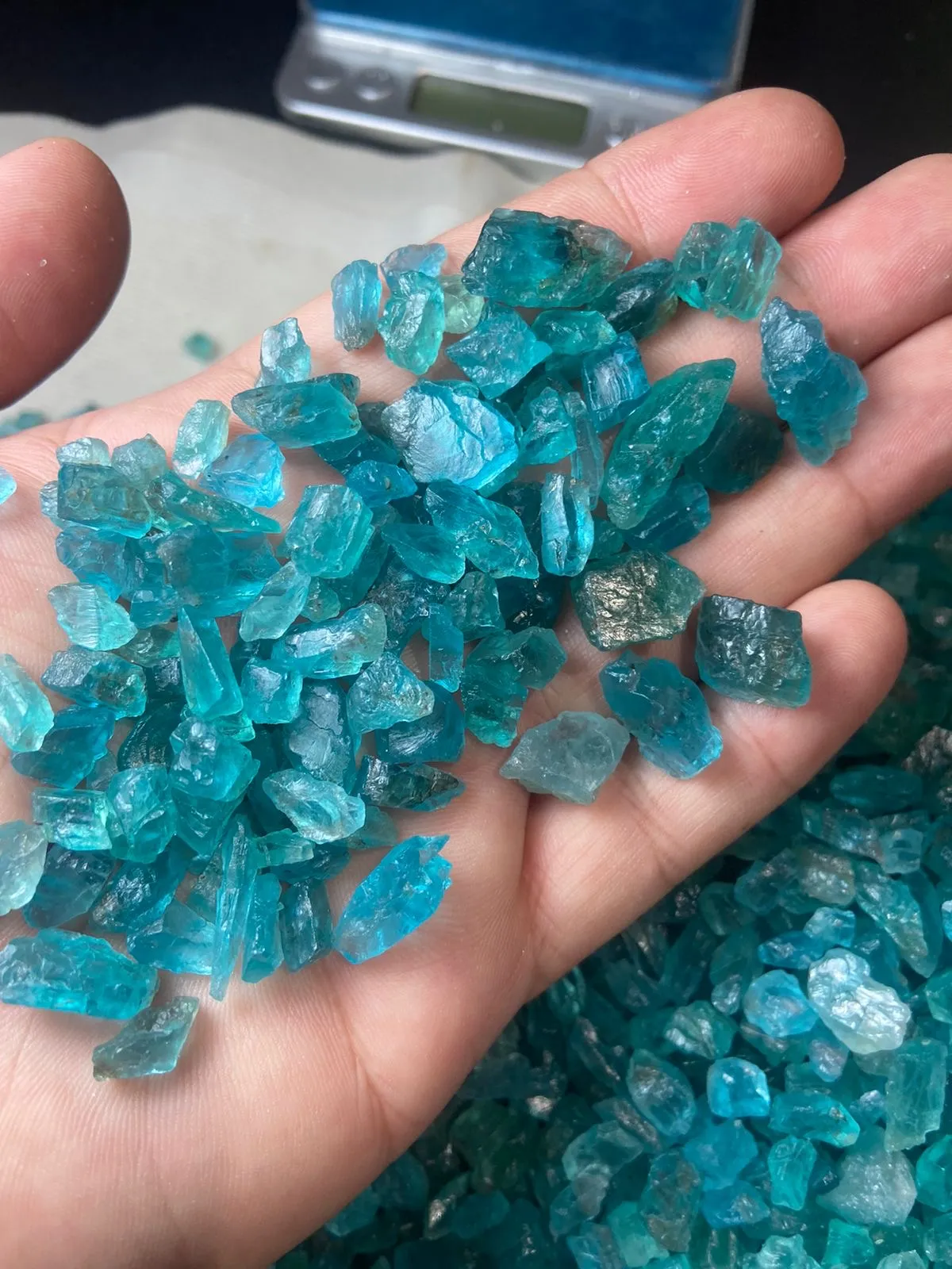 1 kilo gram Blue Apatite for Faceting / Lapidary