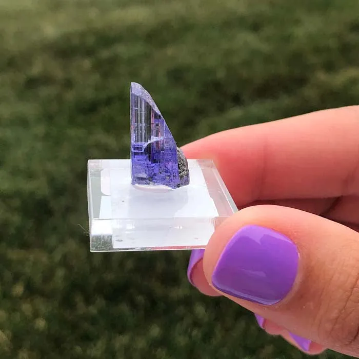 11.64ct Gemmy Bi-Color Tanzanite Crystal