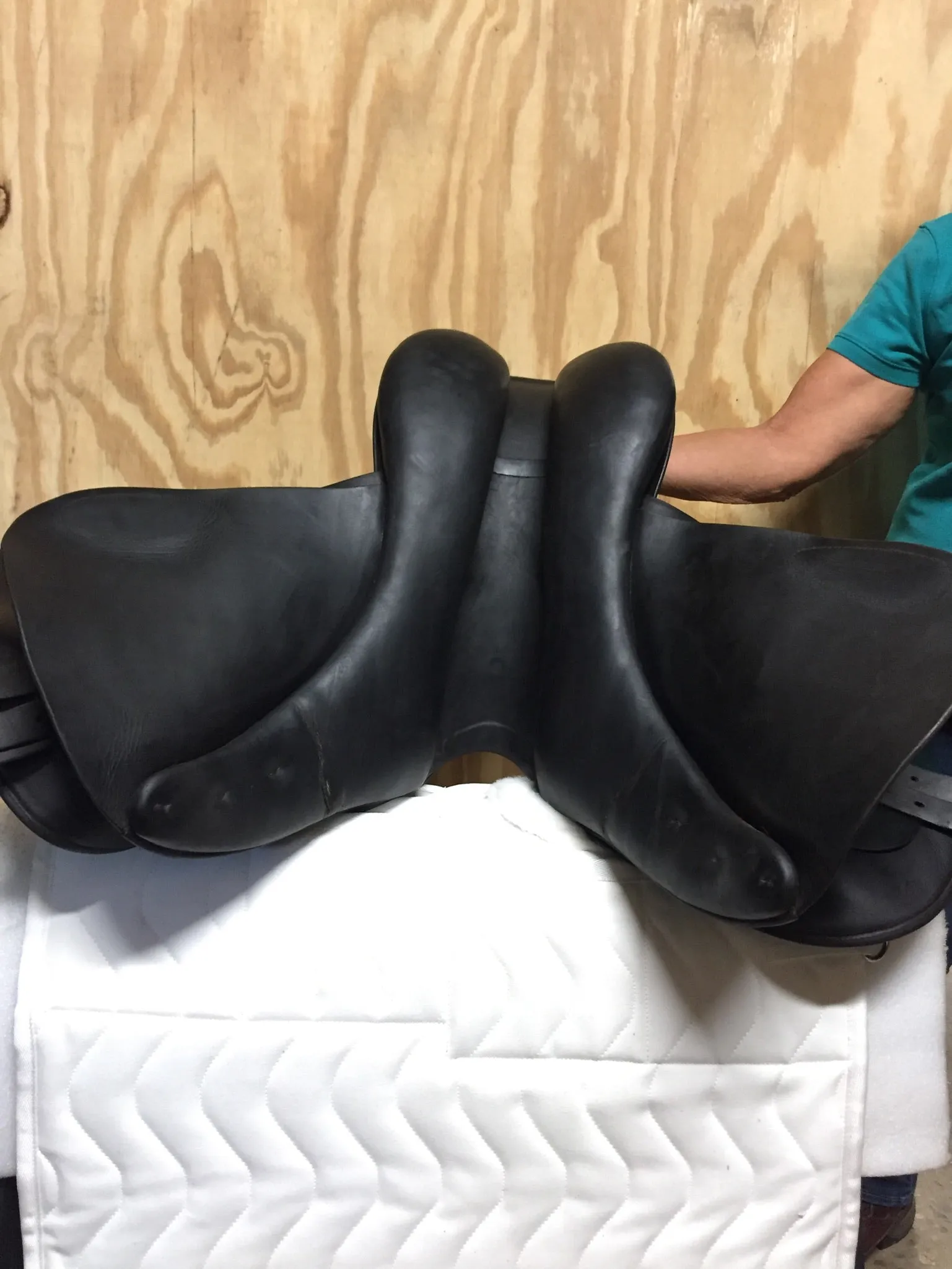 17" Prestige Hippos Saddle