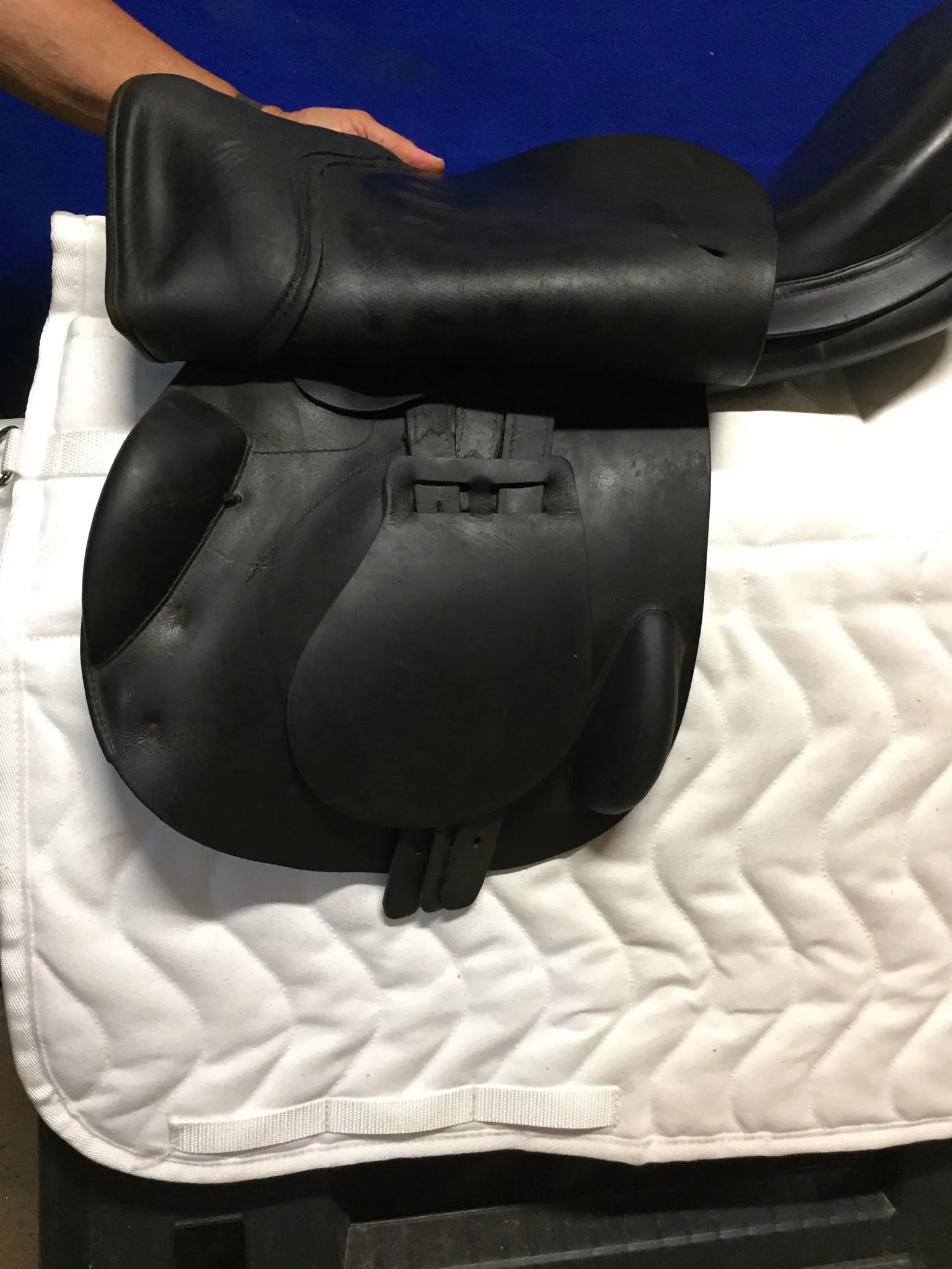 17" Prestige Hippos Saddle
