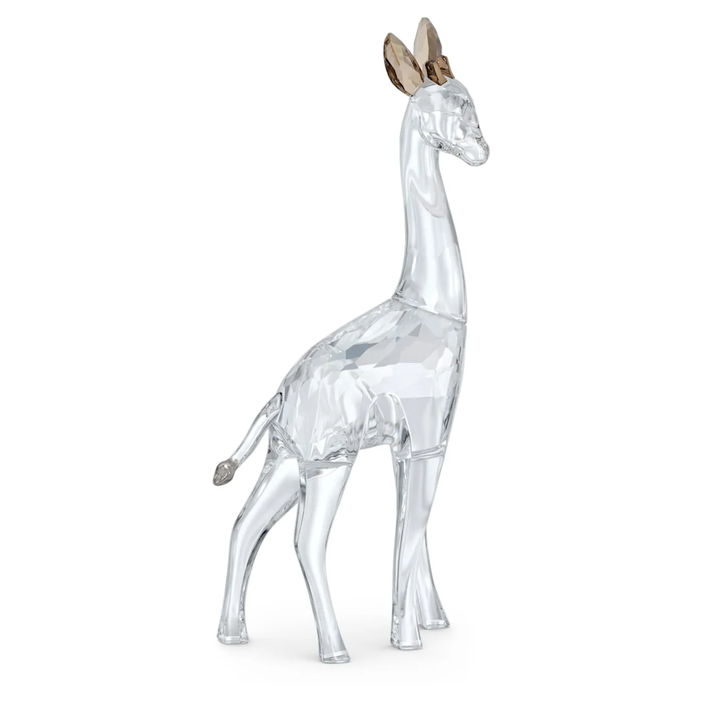 African Sunset Giraffe Nohea 5557858