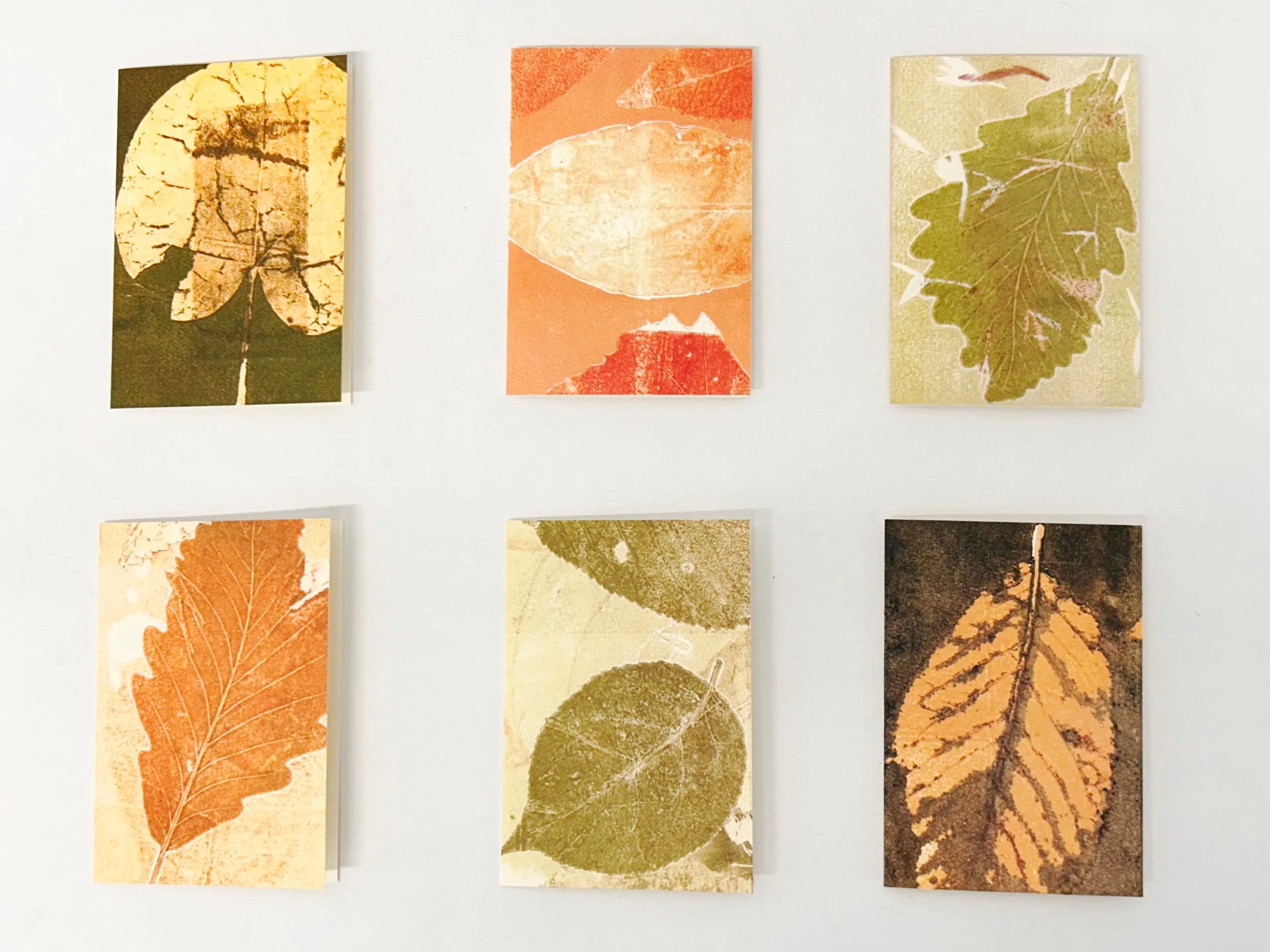 Assorted Box Set: Leaves AL1