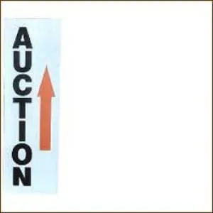 Auction Narrow Arrows (25/Pack)