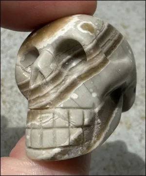 Banded Aragonite CRYSTAL SKULL - Grounding, Decrease stress - with Synergy 7  years