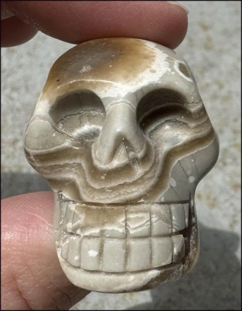 Banded Aragonite CRYSTAL SKULL - Grounding, Decrease stress - with Synergy 7  years