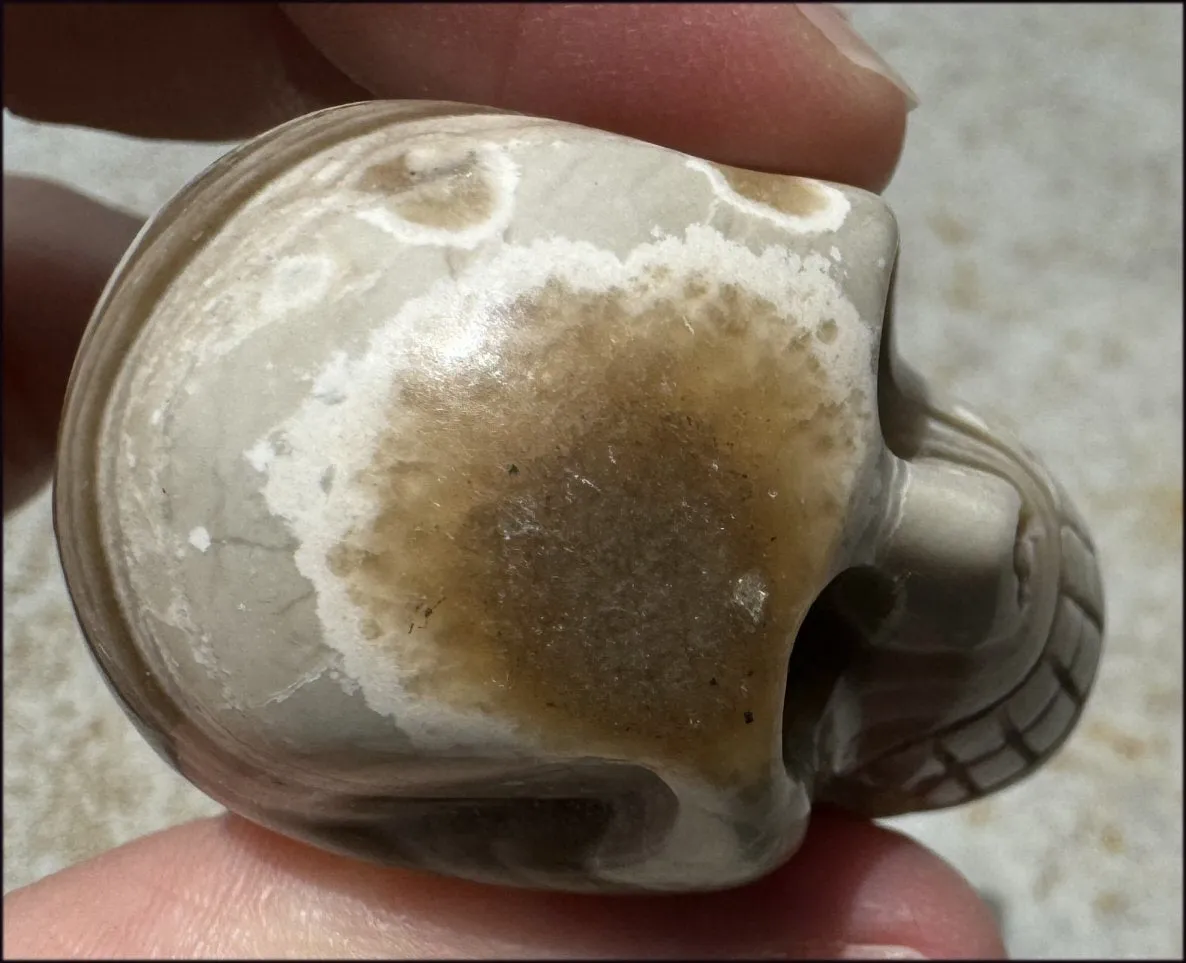 Banded Aragonite CRYSTAL SKULL - Grounding, Decrease stress - with Synergy 7  years