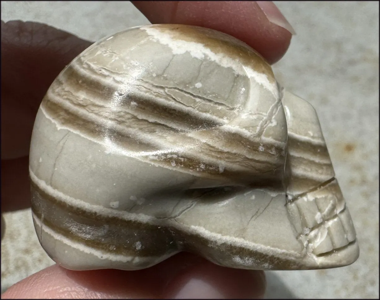 Banded Aragonite CRYSTAL SKULL - Grounding, Decrease stress - with Synergy 7  years