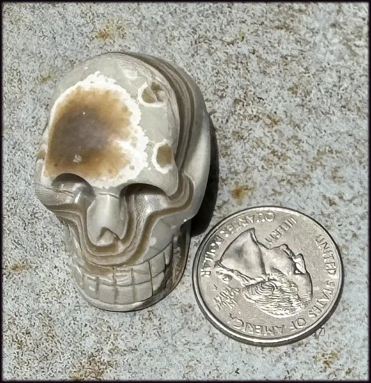 Banded Aragonite CRYSTAL SKULL - Grounding, Decrease stress - with Synergy 7  years