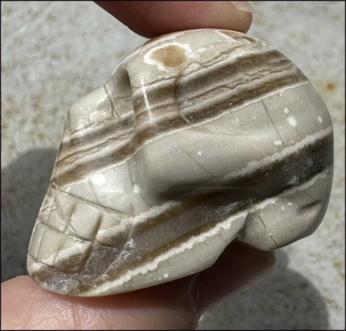 Banded Aragonite CRYSTAL SKULL - Grounding, Decrease stress - with Synergy 7  years
