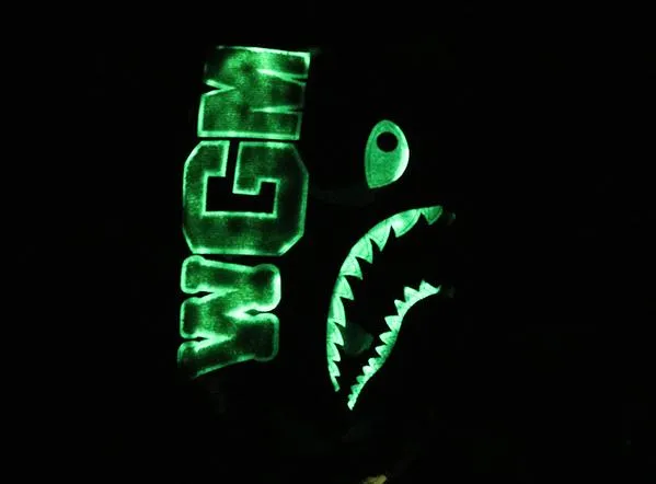 BAPE Luminous Hoodie