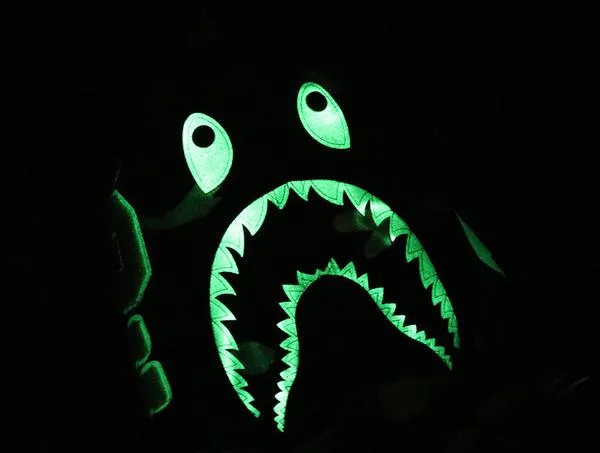 BAPE Luminous Hoodie