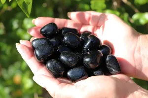 Black Obsidian tumbles | 2pcs