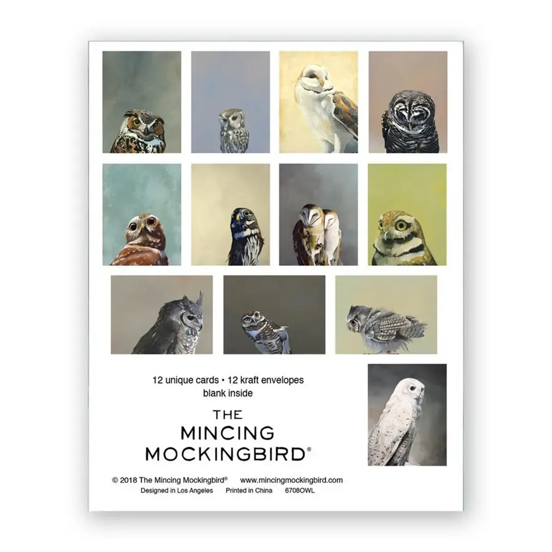 Boxed Set of Matt Adrian Owl Cards