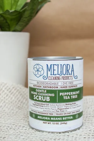 BULK/ Scrub Gentle Home Cleaning
