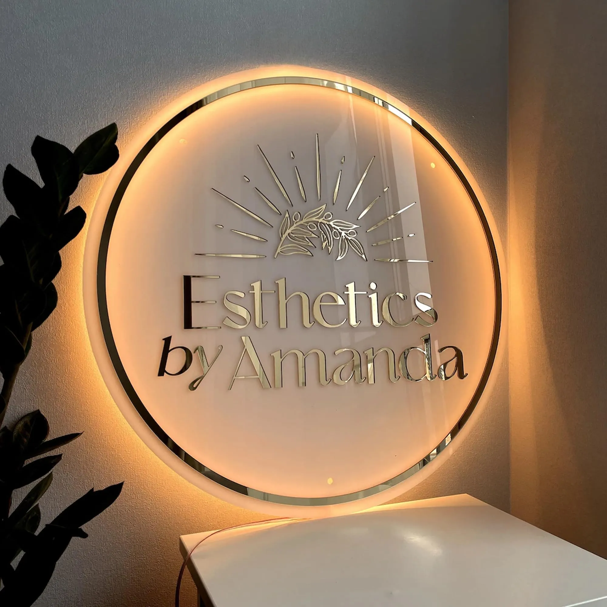 Business Logo Neon Sign, Acrylic Backlit Illuminated Neon Sign, Metal Acrylic Business Sign, Personalized LED Logo Customize Logo for Company, Shops, Offices, Studio Sign