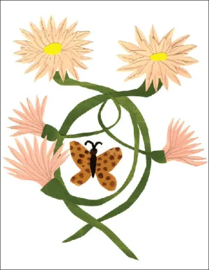 Butterfly   Dahlias