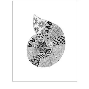 BW Decorated Nautilus