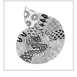 BW Decorated Nautilus