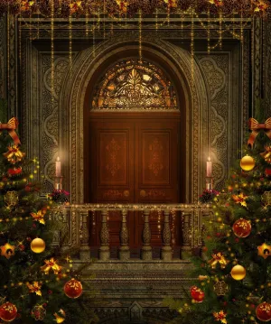 Christmas Decorated House Photo  Backdrop