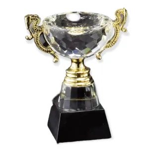 Crystal Bowl Trophy