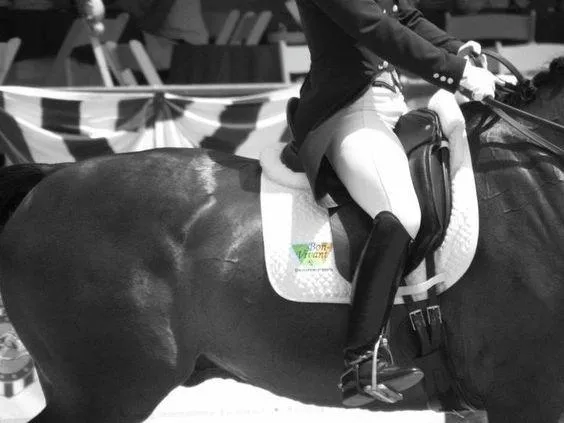 Customizable All Purpose Saddle Pads- Team Patch or Monogram