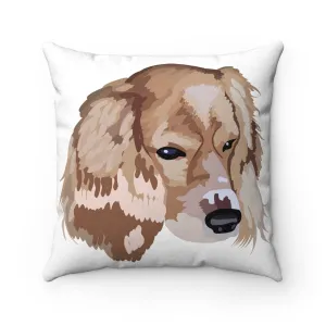 Droopy Faux Suede Square Pillow
