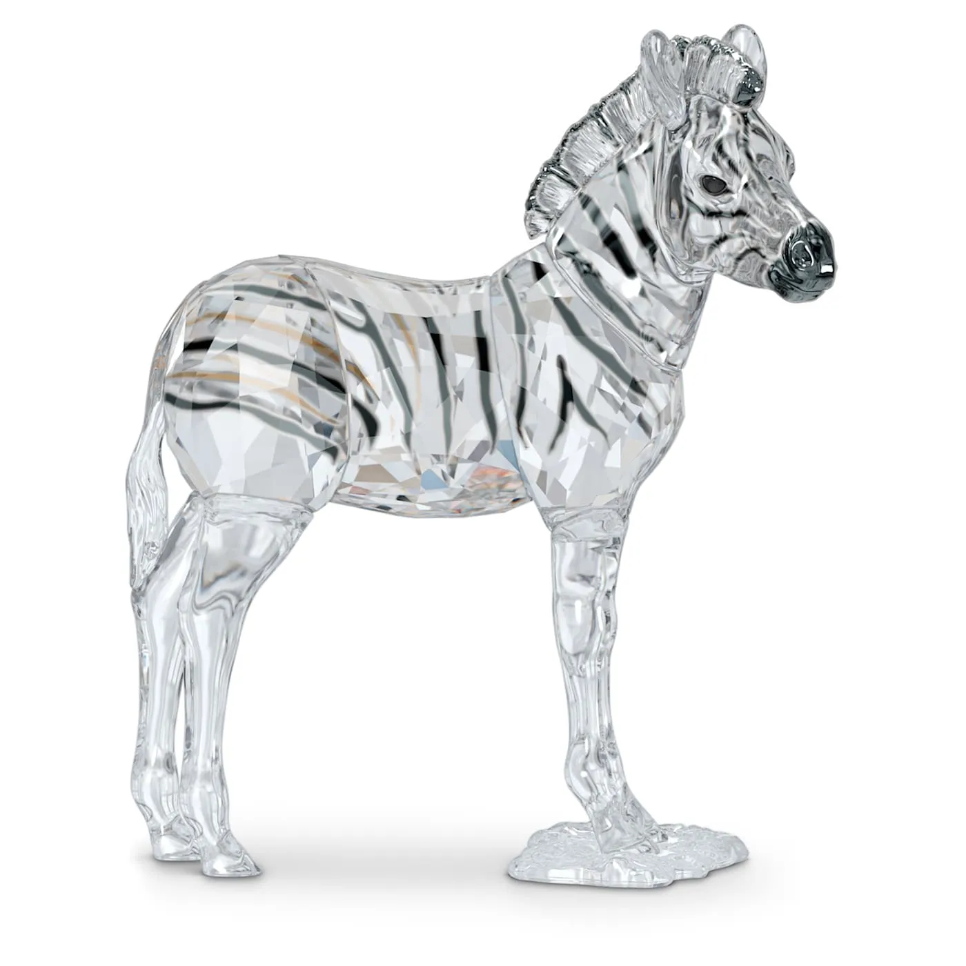 Elegance of Africa SCS Zebra Baby Zuri