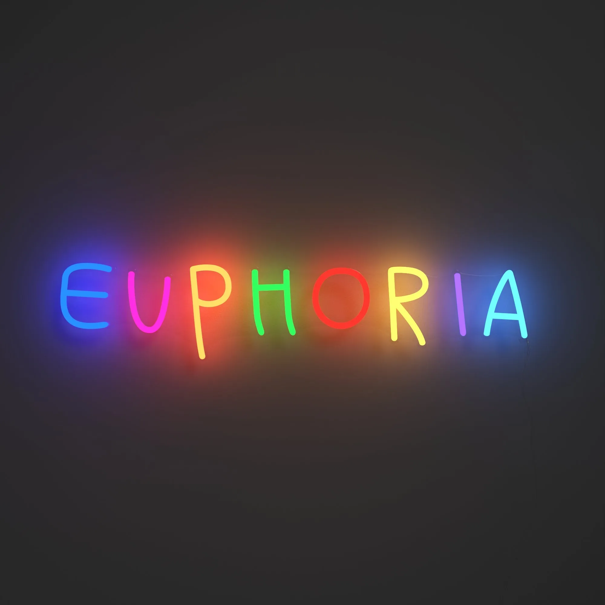 Euphoria - LED neon sign