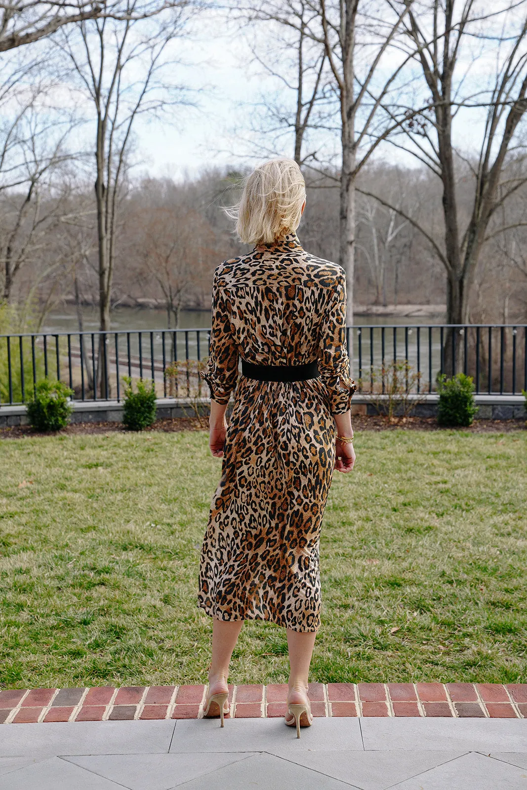 Everyday Dress in Animal Print Jersey