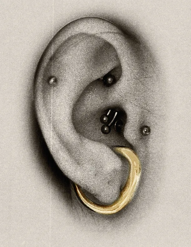 everyday lobe earring