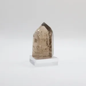 Extra Grade Citrine (VII)
