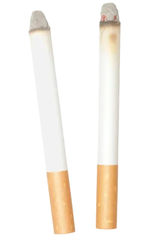 Fake Cigarettes Accessory