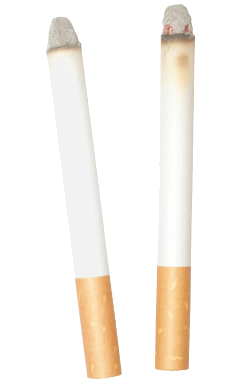 Fake Cigarettes Accessory