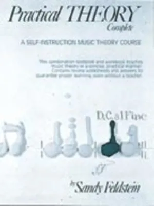 FELDSTEIN - PRACTICAL THEORY VOL 1