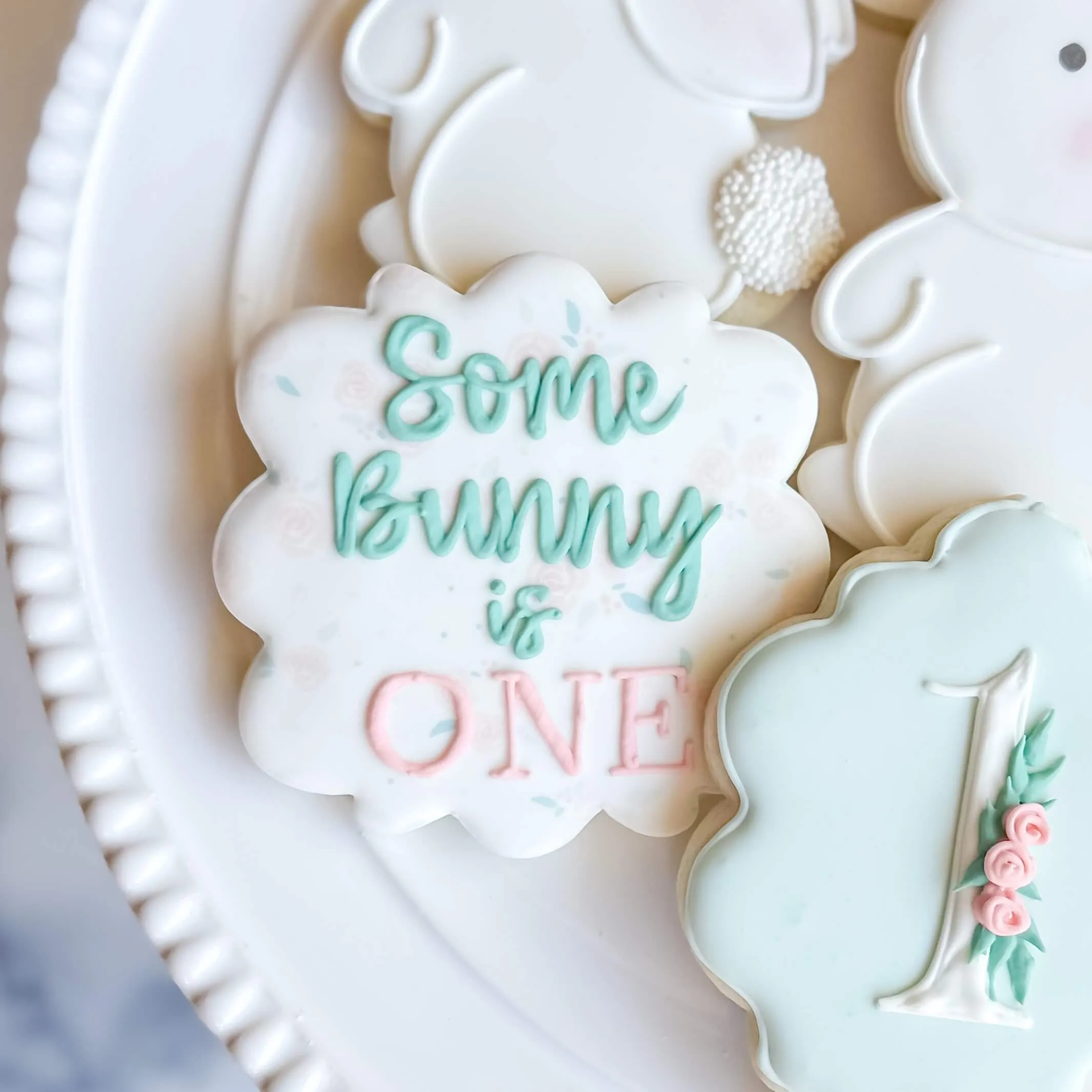 First Birthday | Some Bunny Is One
