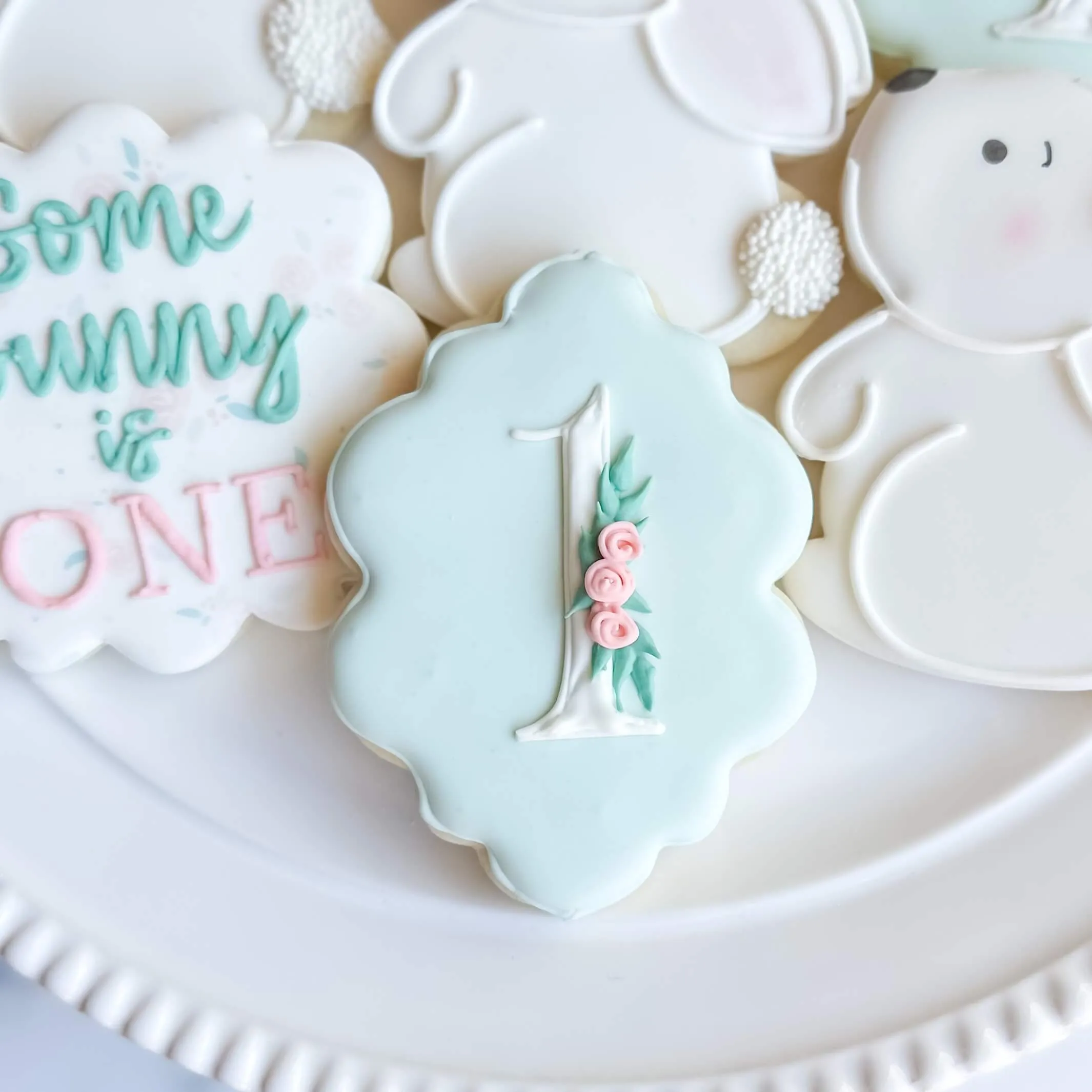 First Birthday | Some Bunny Is One