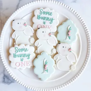 First Birthday | Some Bunny Is One
