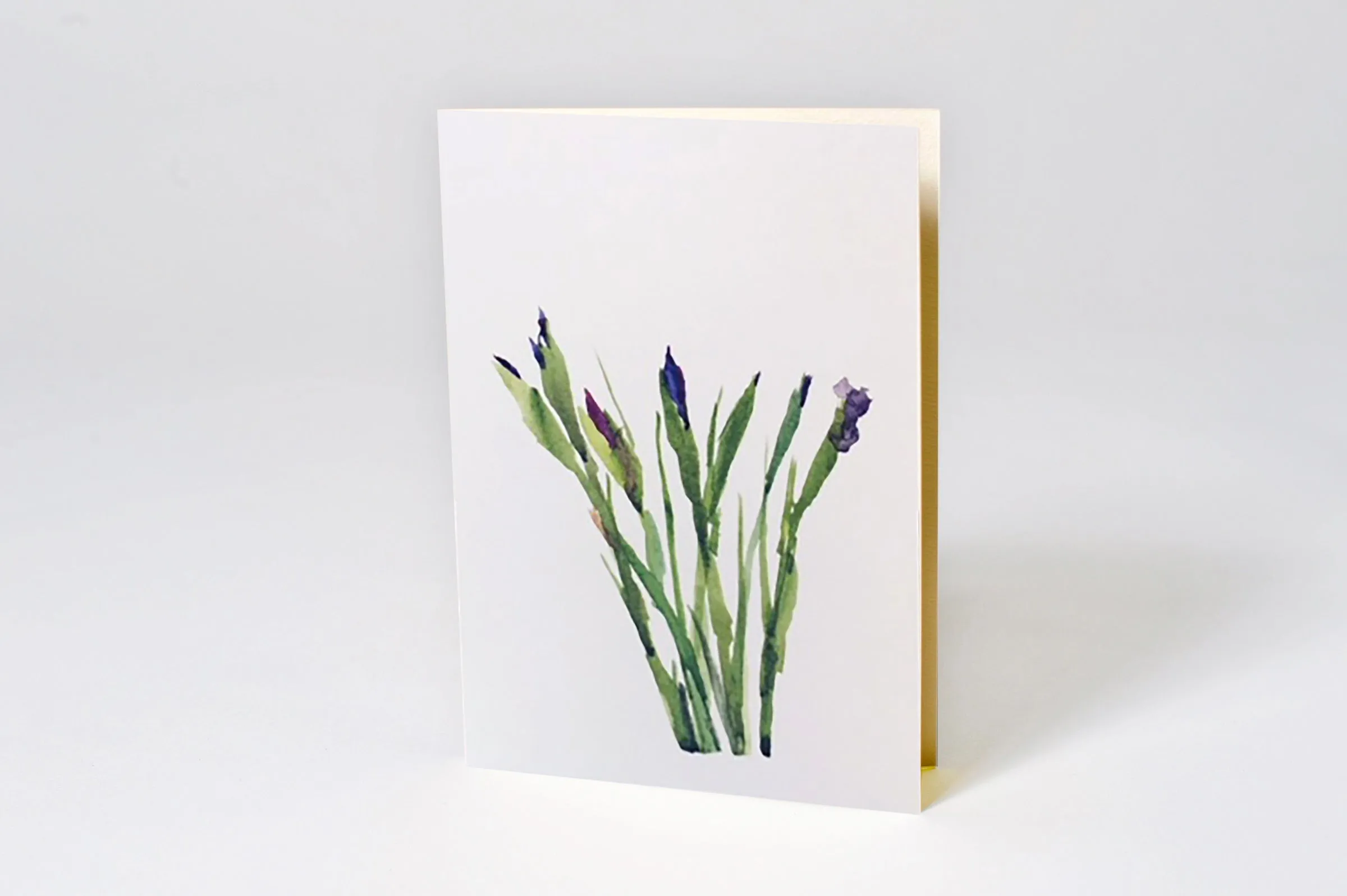 Flower - 102
