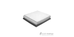 Fram Air Filter Chev Utility 1.8 CA10739