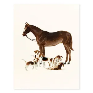 GENERAL HORSE - FD - HORSE SPRING AND BEAGLES