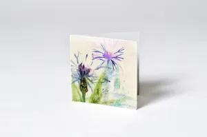 Gift Enclosure GE1-108