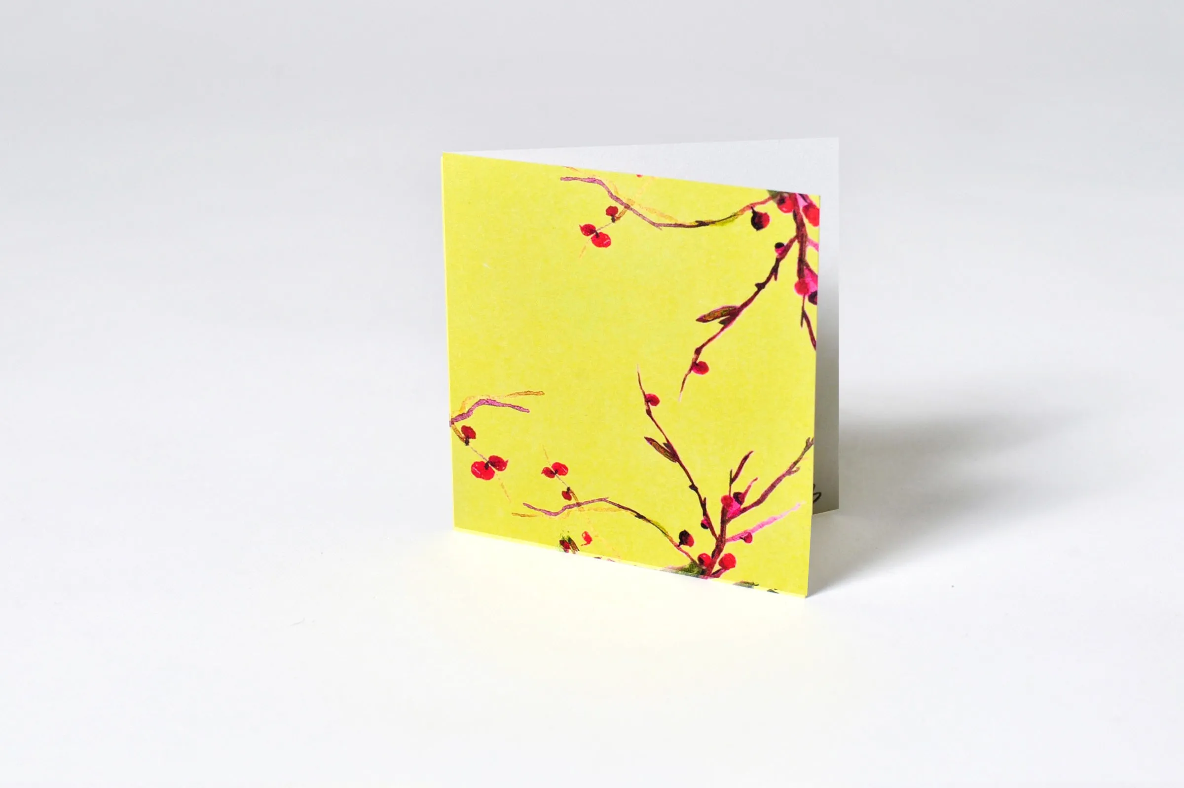 Gift Enclosure GE1-113
