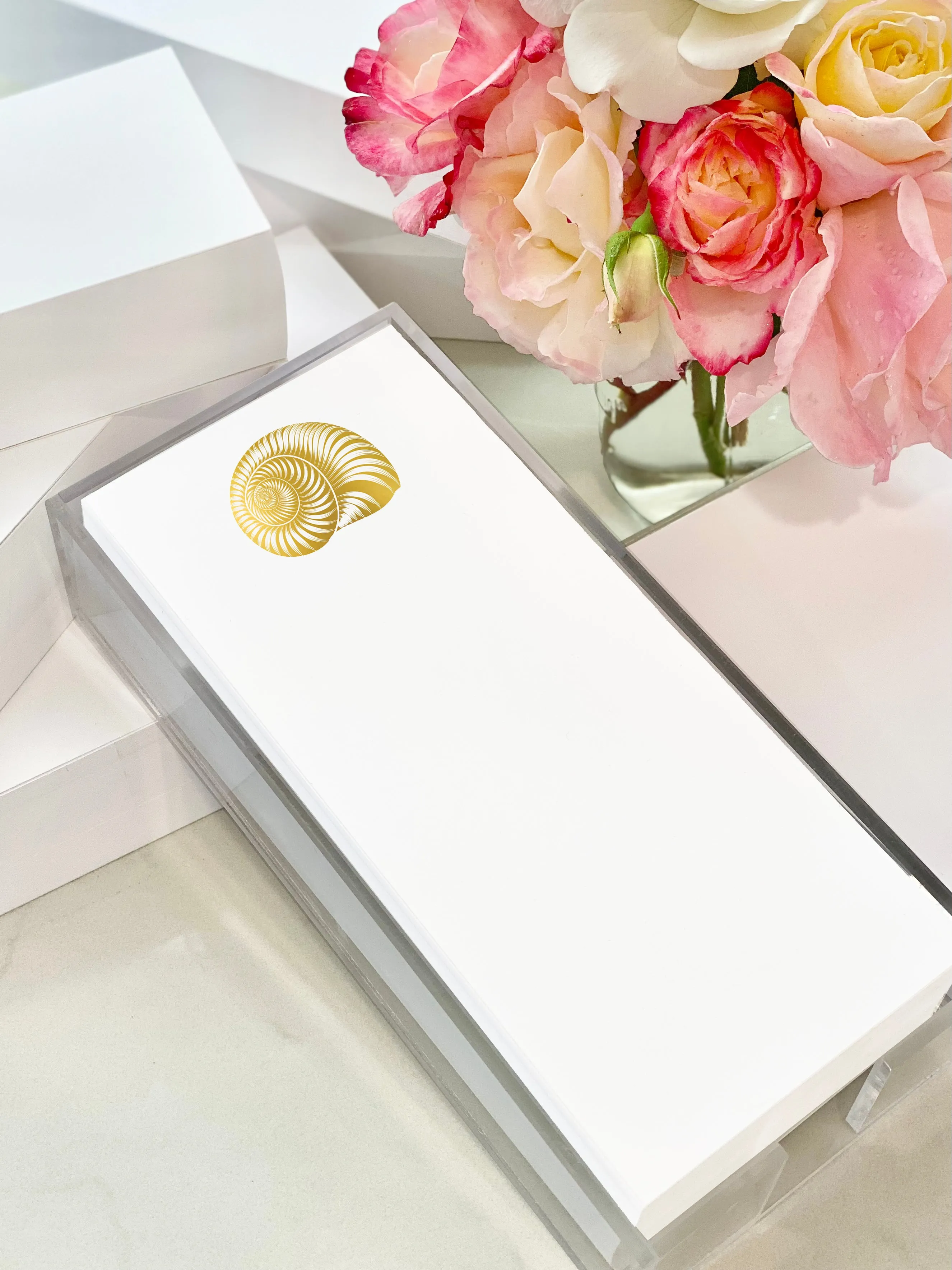 Gold Foil Buck Nautilus