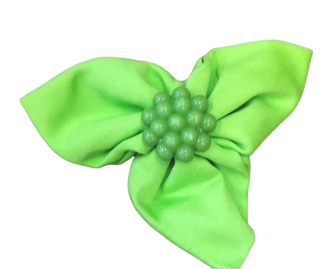 Hair clip Accessory