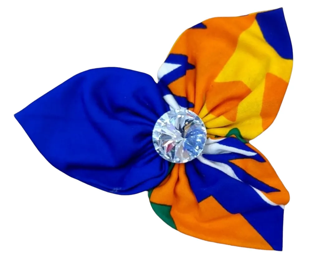 Hair clip Accessory