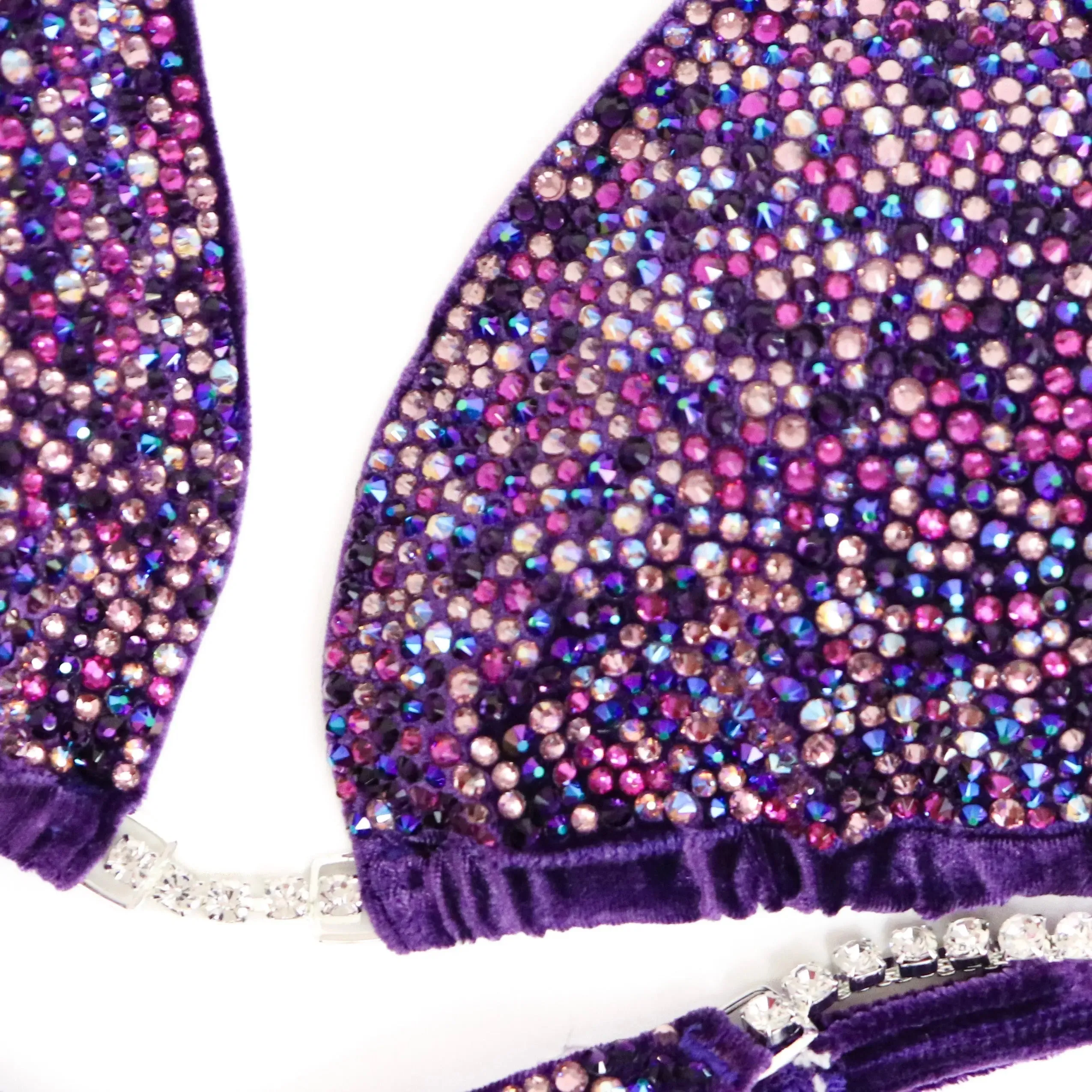 Haley's Velvet Purple Radiance