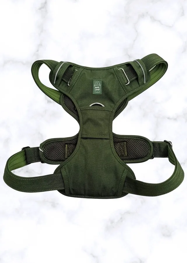 Heavy-Duty Everyday Harness