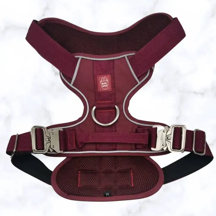 Heavy-Duty Everyday Harness