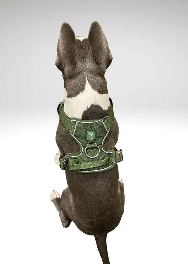 Heavy-Duty Everyday Harness